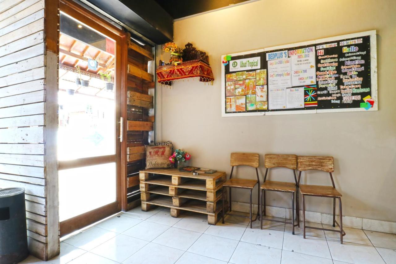 Legian Bedplus Backpacker Kuta מראה חיצוני תמונה